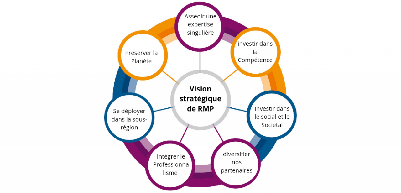 Vision Stratégique - RMP SERVICES PRO